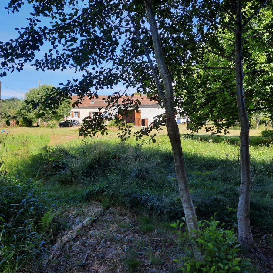 Chambre D'Hote Le Chataignier Bed & Breakfast Planchez Exterior photo